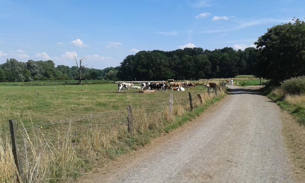 Ferienhaus Burgblick Brueggen Bruggen  Oda fotoğraf